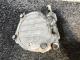 Mitsubishi L200/Triton KL 2019-on Brake Vacuum Pump