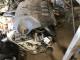 Mitsubishi Eclipse Cross GK1W Engine Assembly