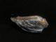 Mitsubishi L200/Triton KL1T 2015-on R Headlight (Halogen)